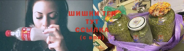 винт Арсеньев