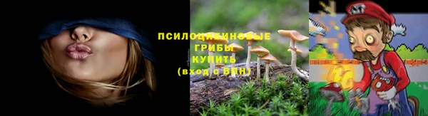 мяу мяу мука Армянск