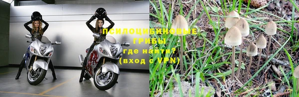 mdpv Аркадак