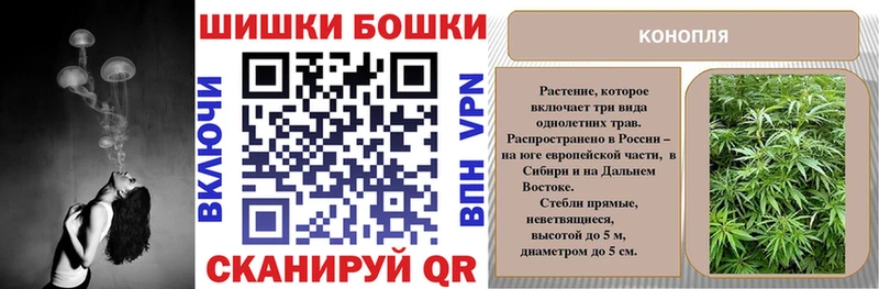 Бошки марихуана Ganja  где купить наркоту  Спасск 